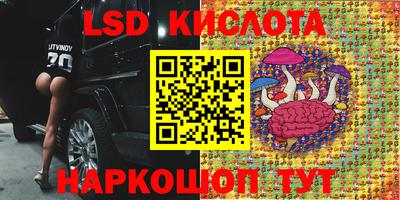 мяу мяу мука Бузулук