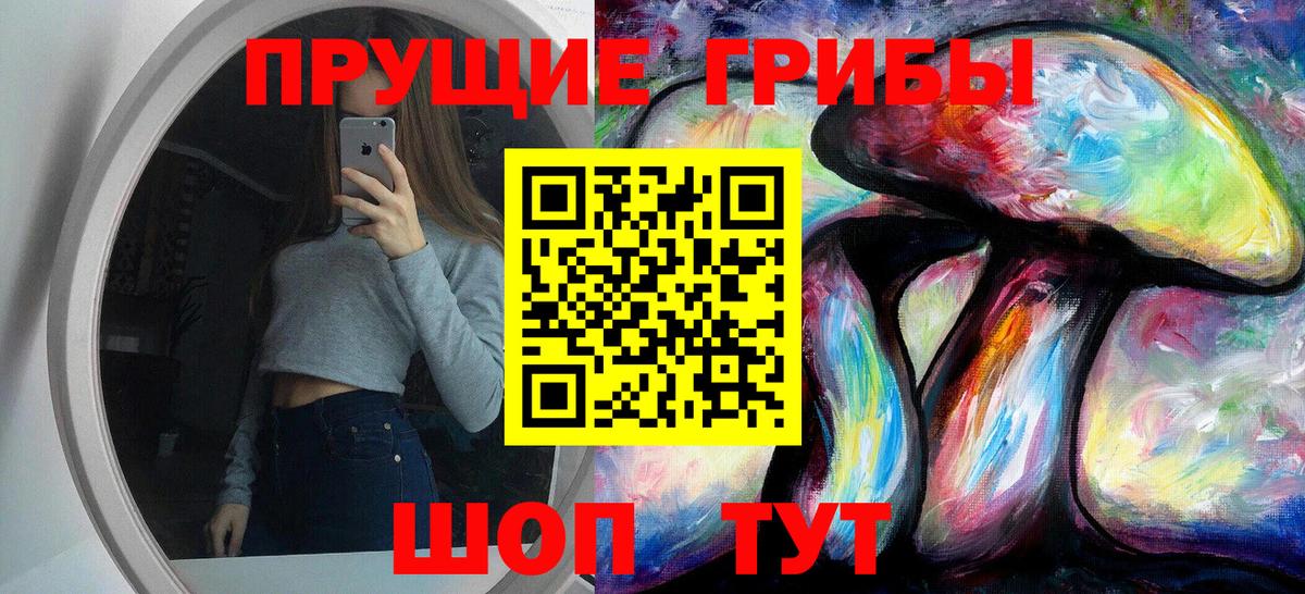 Тулун  Галлюциногенные грибы GOLDEN TEACHER  Галлюциногенные грибы Psilocybe  наркошоп  Вход с VPN 