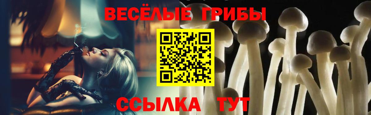 Галлюциногенные грибы мухоморы Тулун